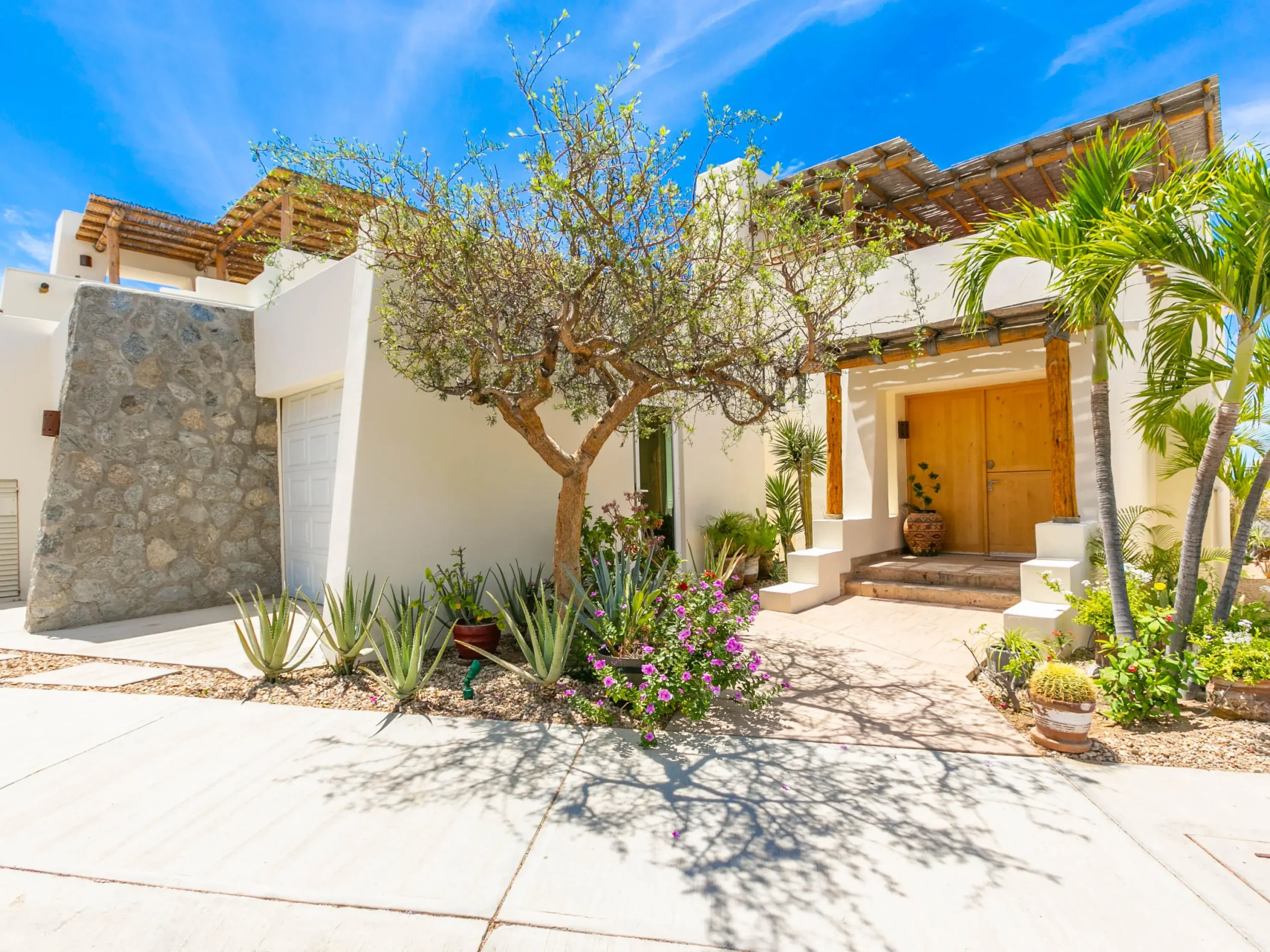 Ultra-Luxury Homes in Cabo Channel 